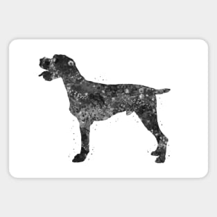 German wirehaired pointer dog black and white Magnet